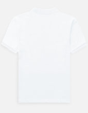 Back_3_c_1.jpg